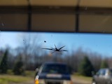 20161024_151015